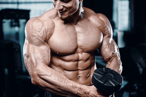 bigger shoulders
