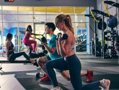 64b773371a8be924f5005693_class-cat-fc-select